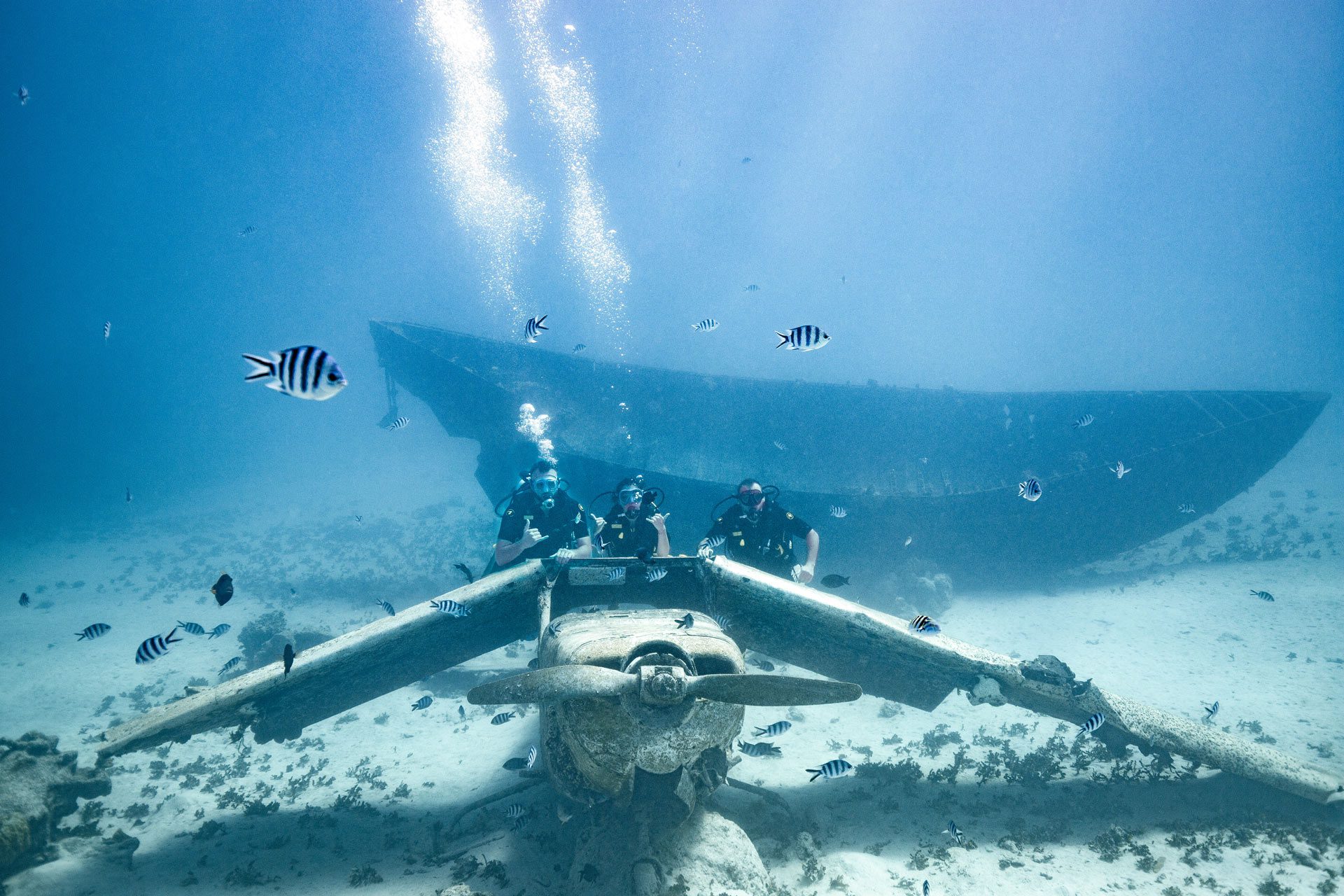 Plongée sous-marine