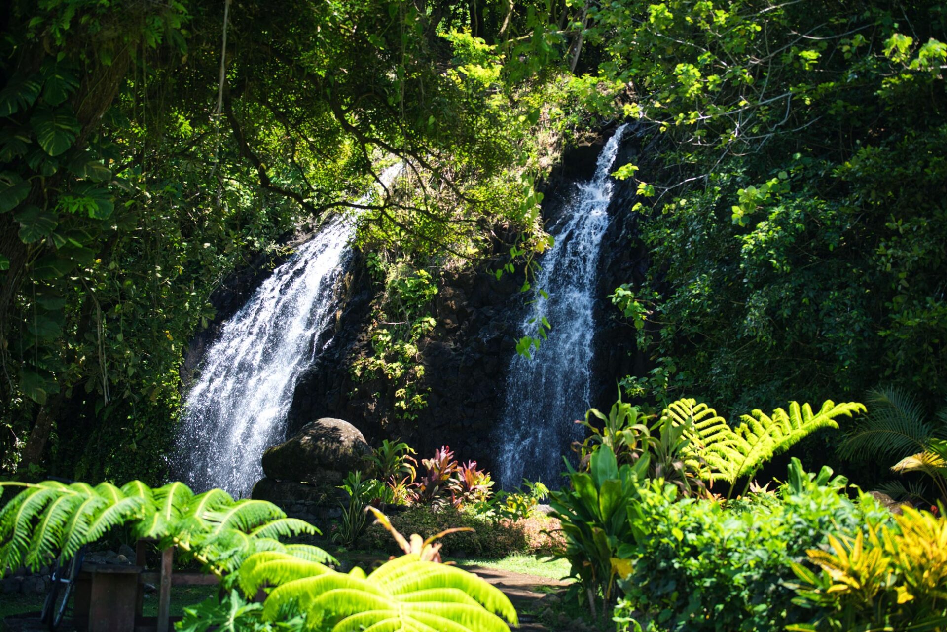 Matari’i i ni’a: Experience Tahiti’s Season of Abundance